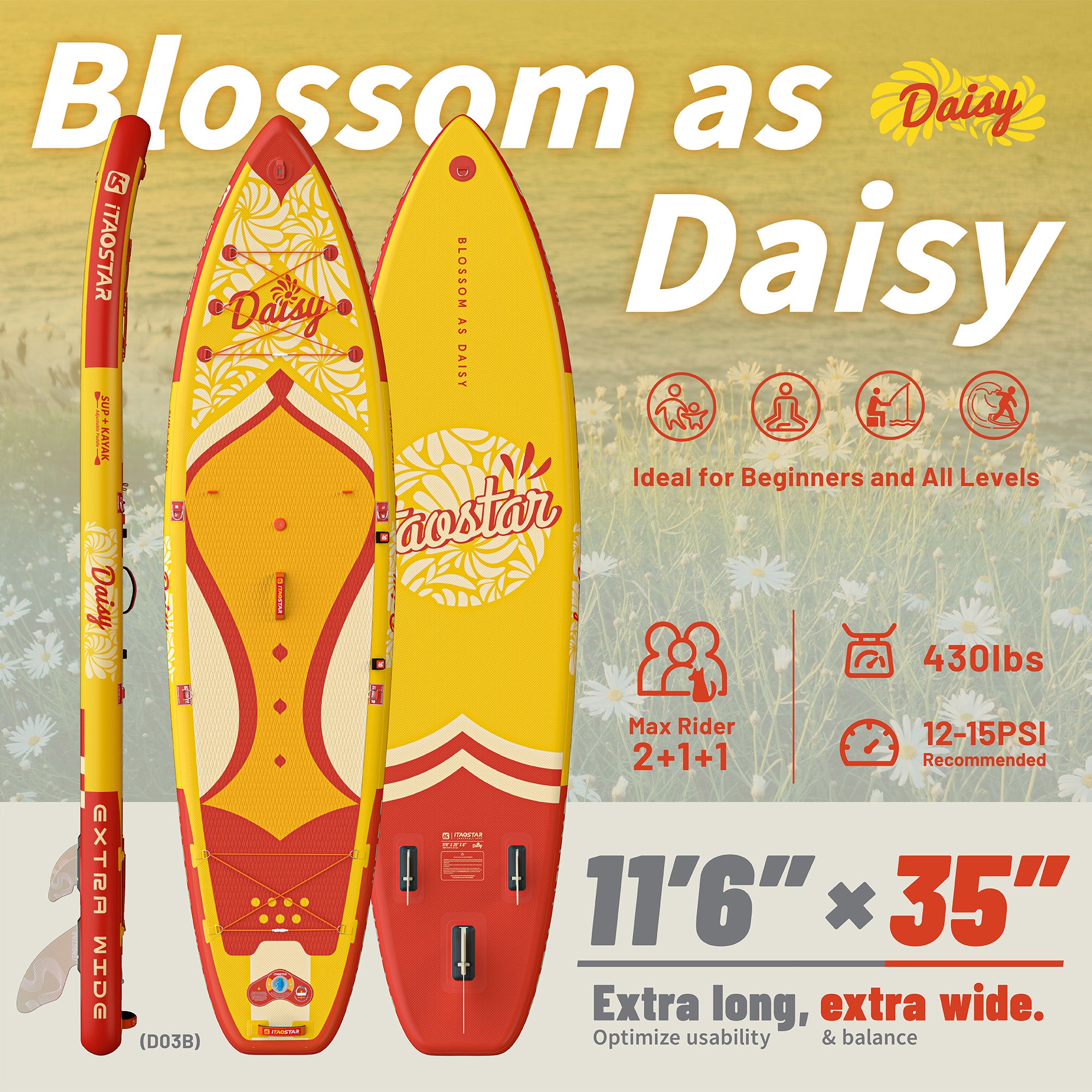 Daisy D03B 11'6" × 35"