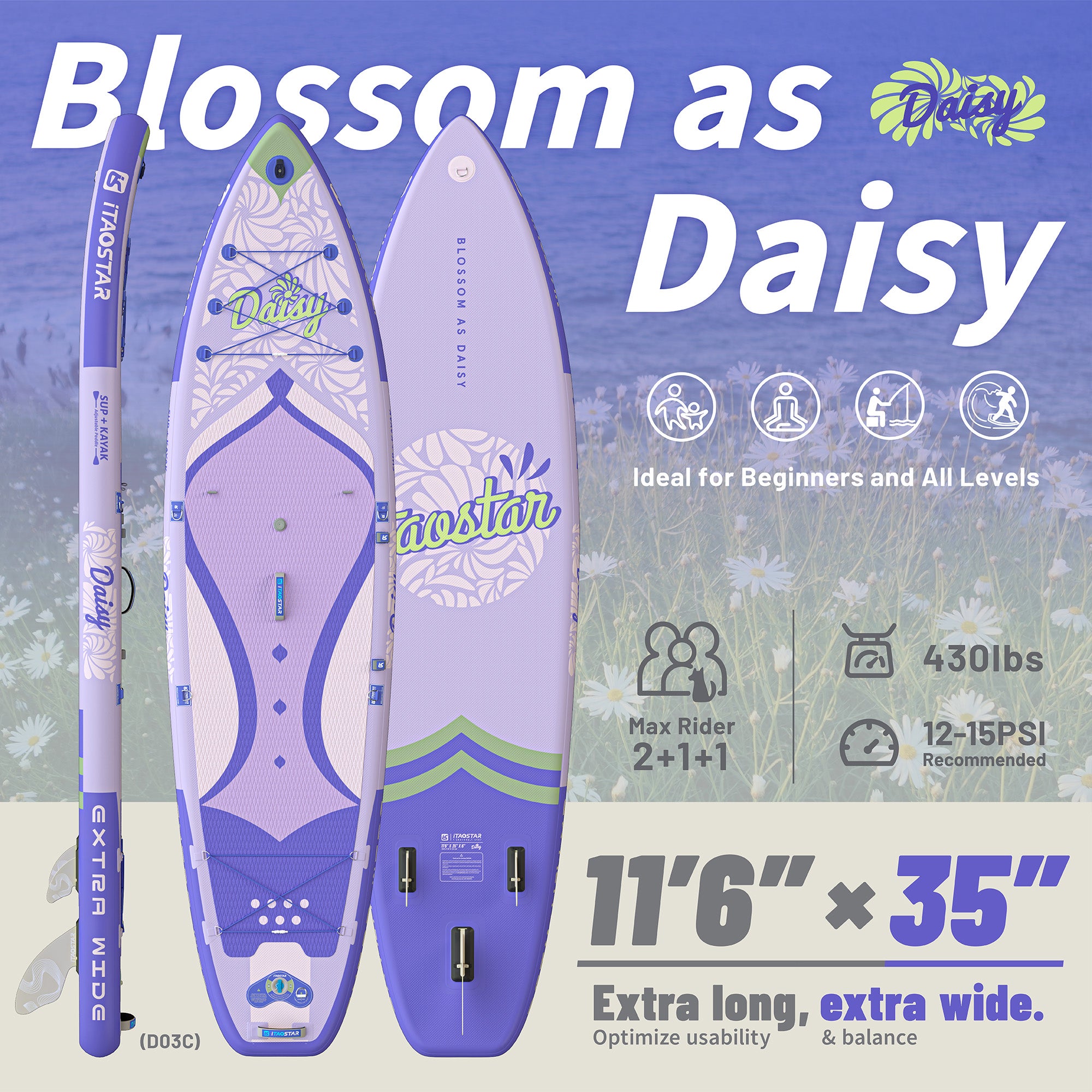 Daisy D03C 11'6" × 35"